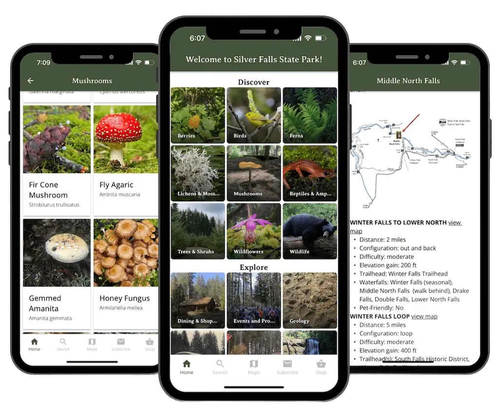Friends of Silver Falls App